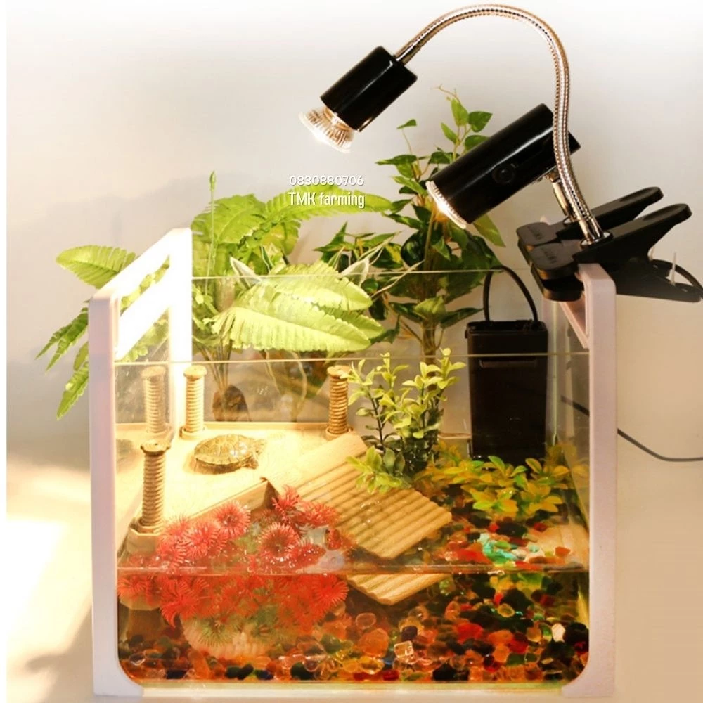 ชุดโคมไฟขาหนีบหลอดไฟ Minisun UVA+UVB 3.0 50W/75W/100W​ ขั้วหลอดไฟเซรามิค โคมไฟทนความร้อน สำหรับ ​ลูกนก เต่าน้ำเต่าบก PL ภาพที่ 5