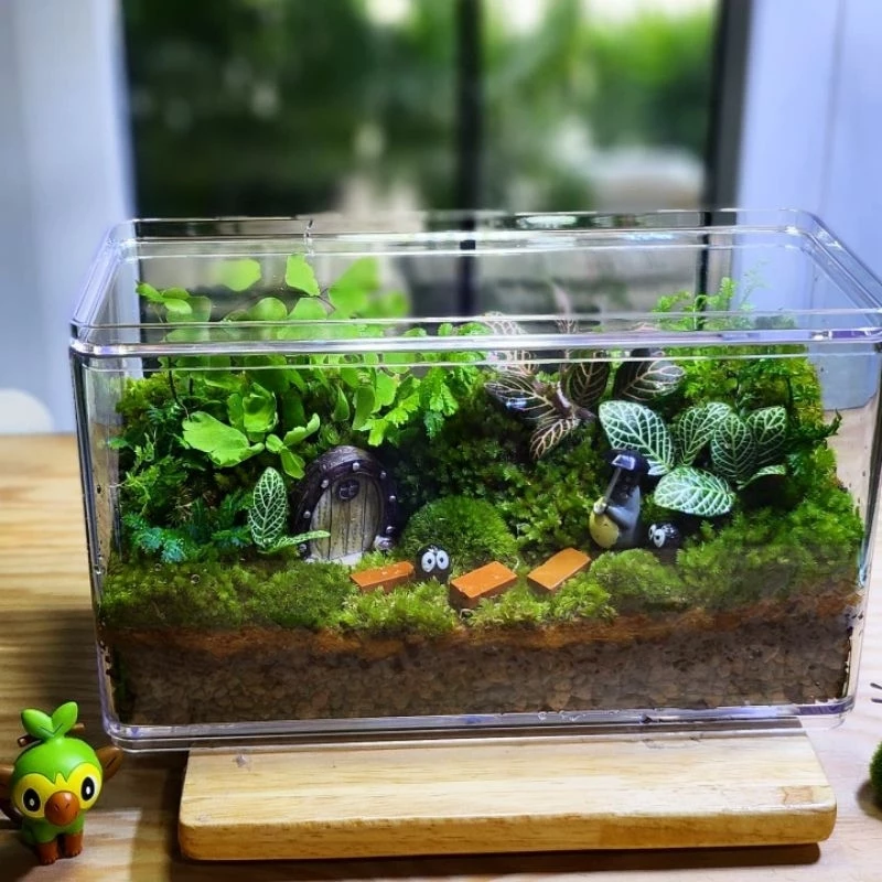 พร้อมส่ง สวนขวดมินิมอล ทรงกล่องอะคลิลิคใส Terrarium (ไม่รวมโคมไฟ) ของขวัญ ภาพที่ 4