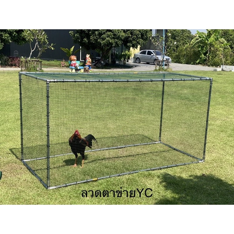 กรงไก่ กรงขนาดใหญ่ กรงเลี้ยงสัตว์ กรงแมว กรงหมา กรงเต่า กรงนก กรงกระต่าย กรงไก่ชน กรง กรงเหล็ก กรงไก่ไข่ เพาะชำ ภาพที่ 4
