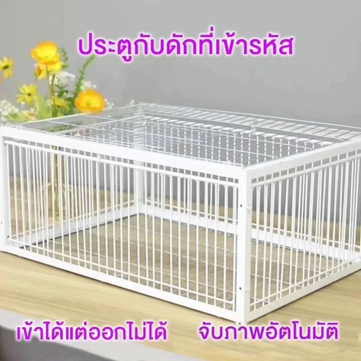 กรงดักนกขนาดใหญ่ เพนียดดักนก 70cm*40cm*26cm กรงกับดักนกพิราบ กรกดักนกเขา กรงนกพิราบ ที่ดักนก กรงต่อนก กรงนกทางเดียว ภาพที่ 3