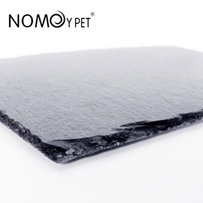 ถาดอาหารเต่าบก จานหินสี่เหลี่ยม ลดการเกิดจงอยปาก และเล็บยาวผิดรูป nomoy pet(พร้อมส่ง) ภาพที่ 2
