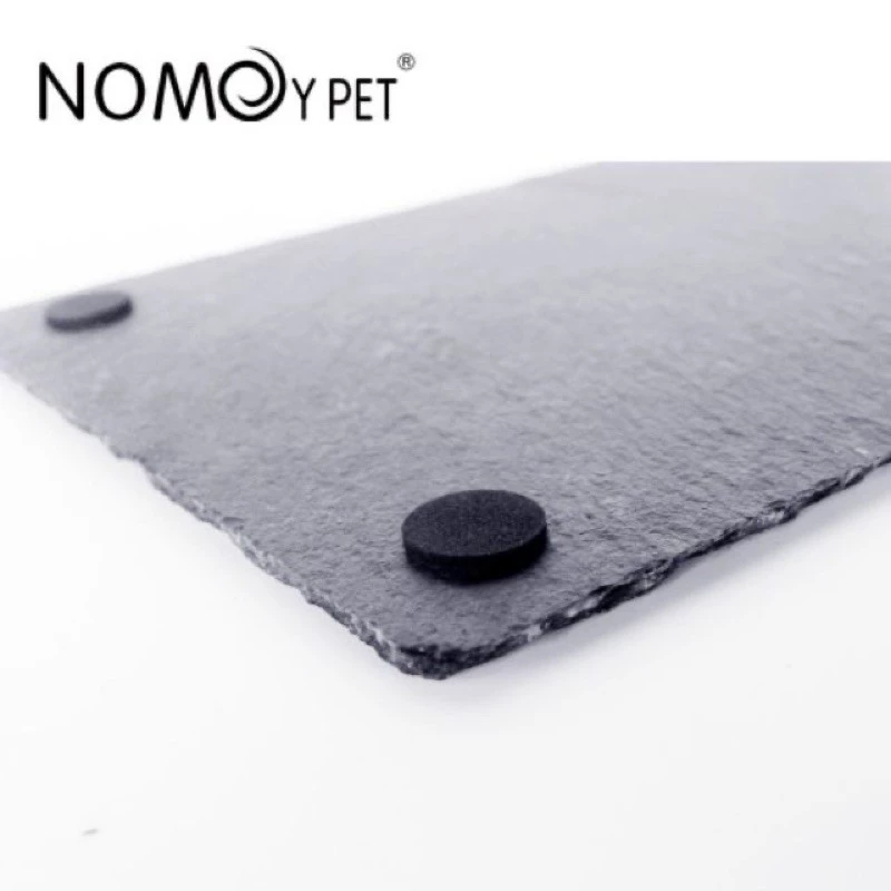 ถาดอาหารเต่าบก จานหินสี่เหลี่ยม ลดการเกิดจงอยปาก และเล็บยาวผิดรูป nomoy pet(พร้อมส่ง) ภาพที่ 3