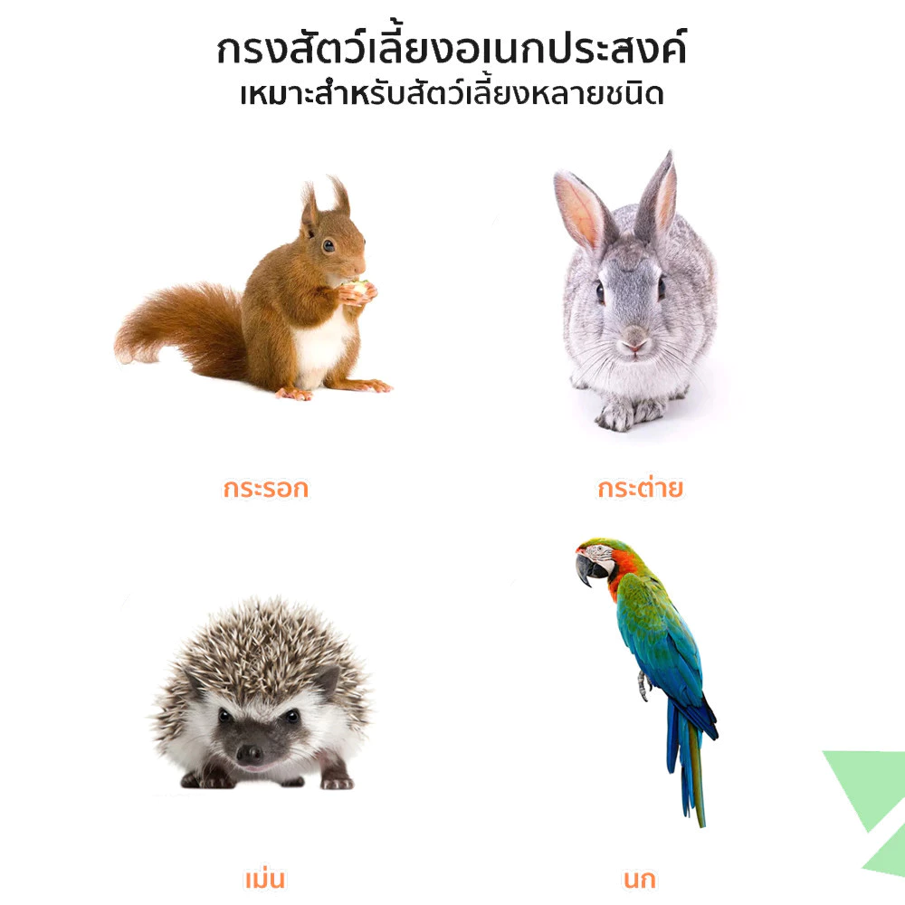 กรงสัตว์เลี้ยง กรงกระต่าย กรงกระต่ายขนาดใหญ่ กรงกระรอก กรงหนูแฮมเตอร์ กรงนก กรงพับ กรงกระต่ายราคาถูก ภาพที่ 3
