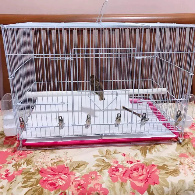กรงนก กรงสัตว์เลี้ยง กรงนกแก้ว กรงกระต่าย กรงพกพาสัตว์เลี้ยง กรงกระรอก 60*40*40cm กรงหนูแฮมเตอร์ กรงพับ ภาพที่ 4