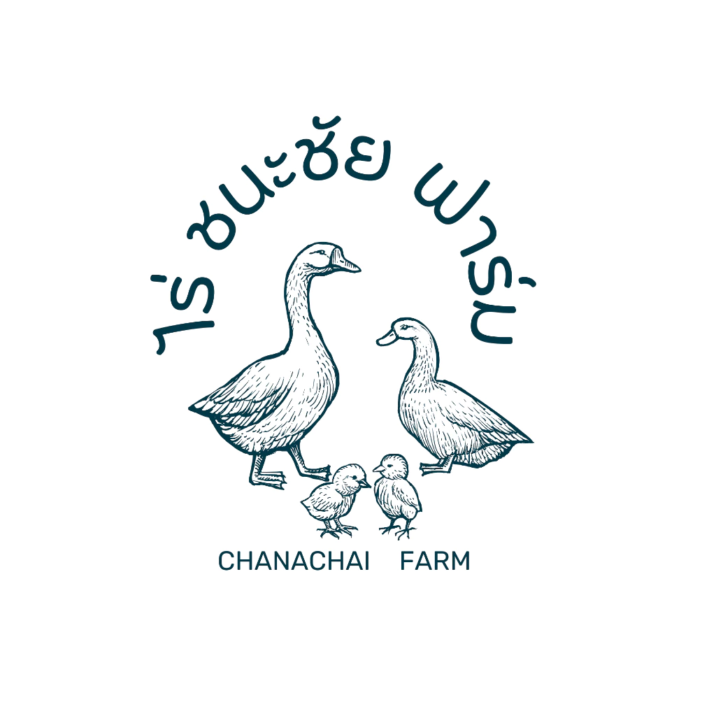 ไข่เชื้อไก่ออสตราลอป Australorp ราชินีไข่ดก ไก่ไข่ดกที่สุดในโลก 1 ฟอง ภาพที่ 3