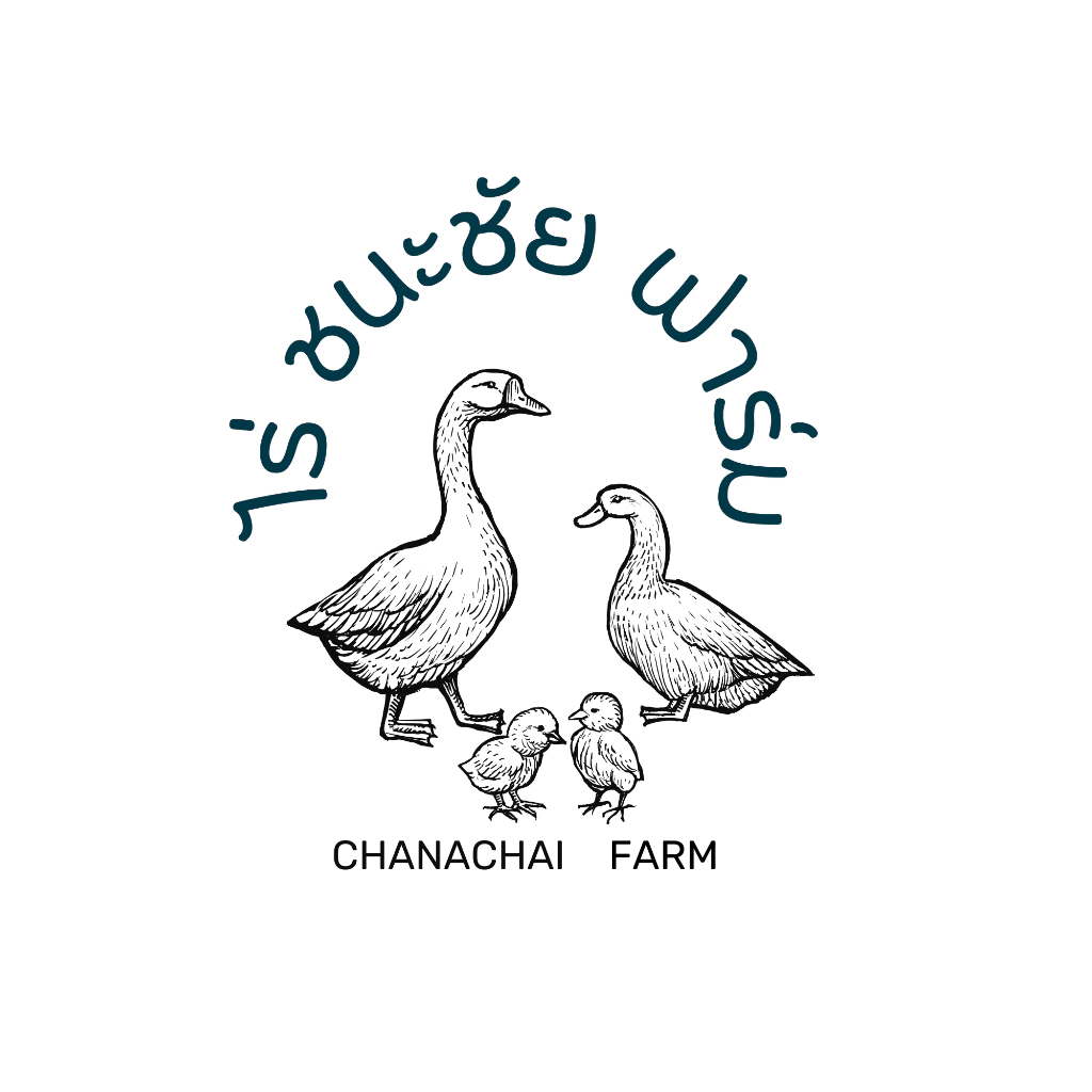 ไข่เชื้อ ไก่ไข่ ไก่สายพันธ์ไฮบริดสำหรับนำไปฟัก ไข่เชื้อไก่ไข่สำหรับฟักสายพันธุ์ 1ฟอง ไฮบริดโรมันบราว ภาพที่ 2