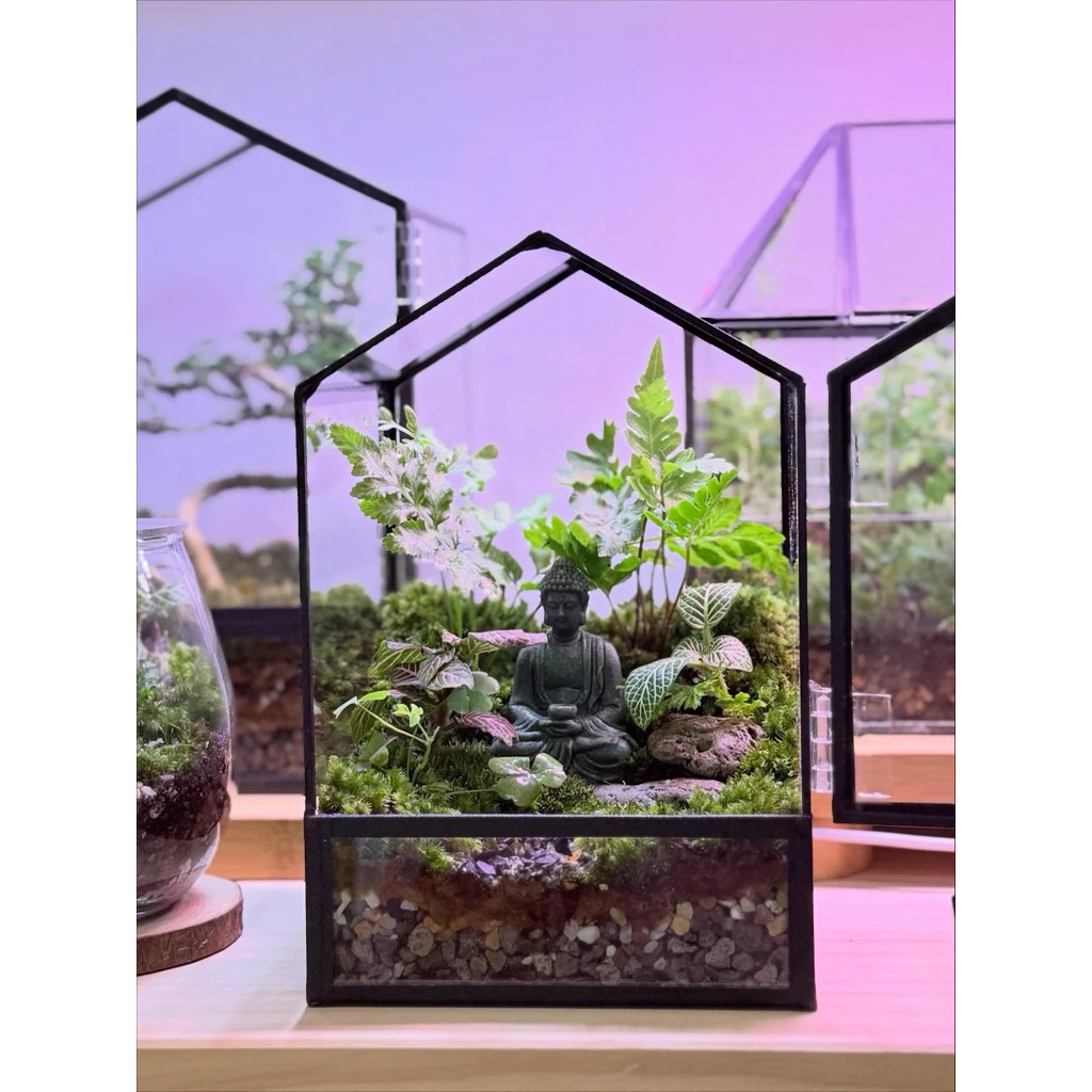 พร้อมส่ง สวนขวดต้นไม้ ทรงบ้านมินิมอล Geometric glass house terrarium ของขวัญ ของแต่งบ้าน ภาพที่ 4