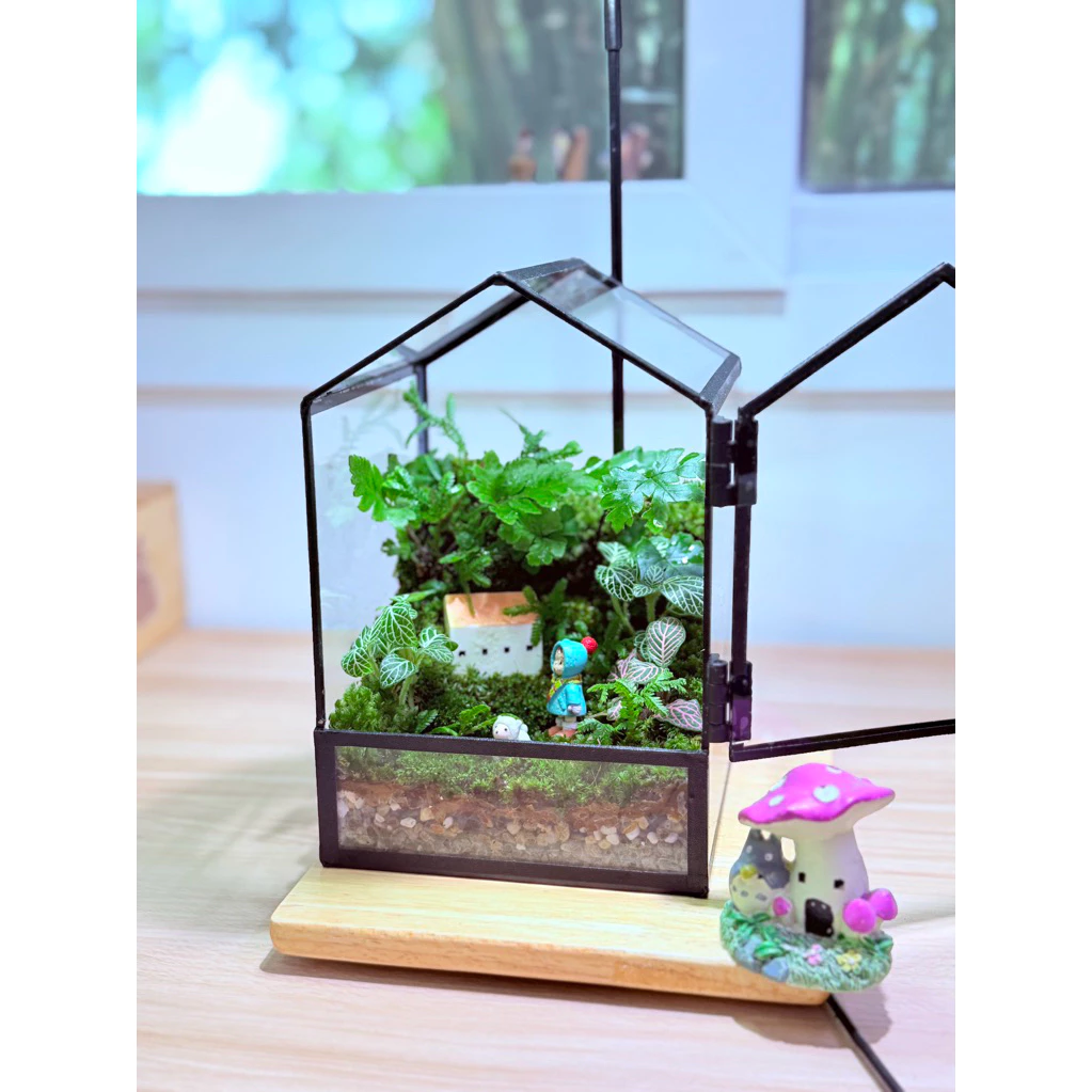 พร้อมส่ง สวนขวดต้นไม้ ทรงบ้านมินิมอล Geometric glass house terrarium ของขวัญ ของแต่งบ้าน ภาพที่ 5