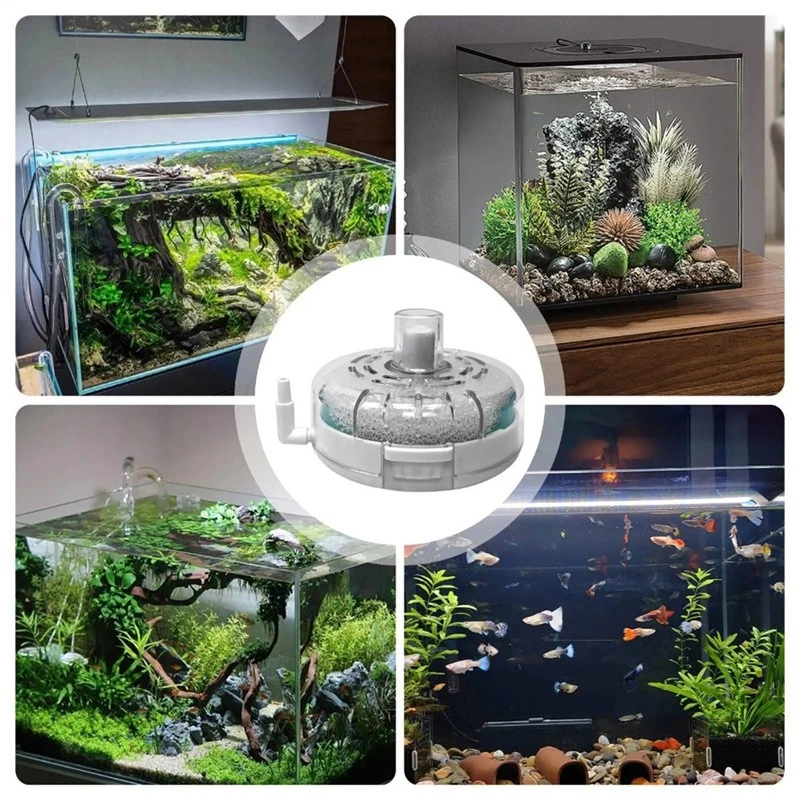 ตู้ปลาตู้ปลารอบกรองปั๊มโปร่งใสสําหรับ Terrarium Pond เต่า Breeding ภาพที่ 2