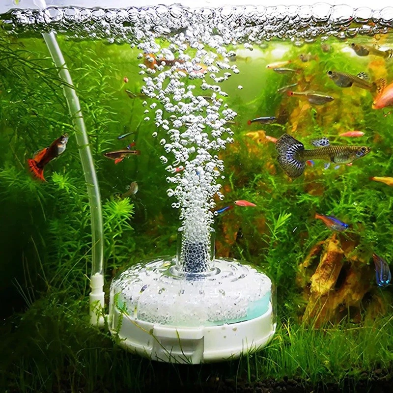 ตู้ปลาตู้ปลารอบกรองปั๊มโปร่งใสสําหรับ Terrarium Pond เต่า Breeding ภาพที่ 3