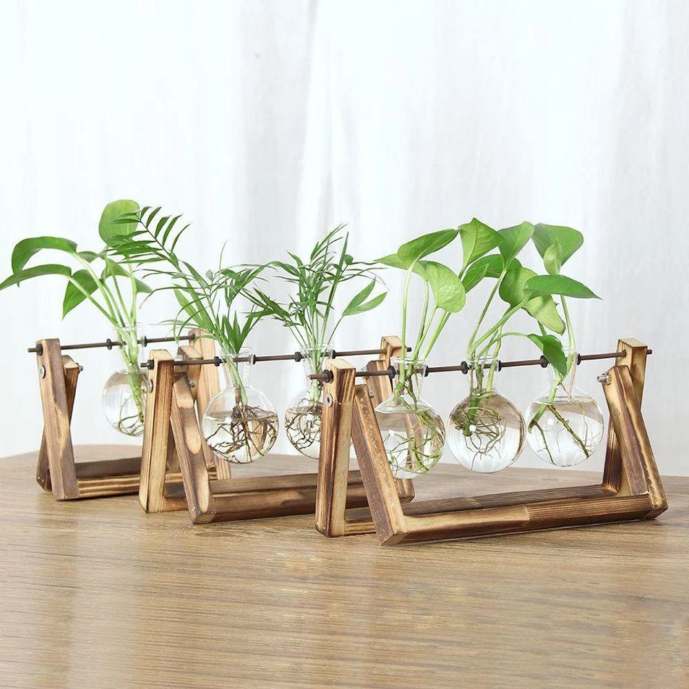 BREWZY Hydroponic แจกันพืชตกแต่งบอนไซ Terrarium โต๊ะดอกไม้หม้อ ภาพที่ 3