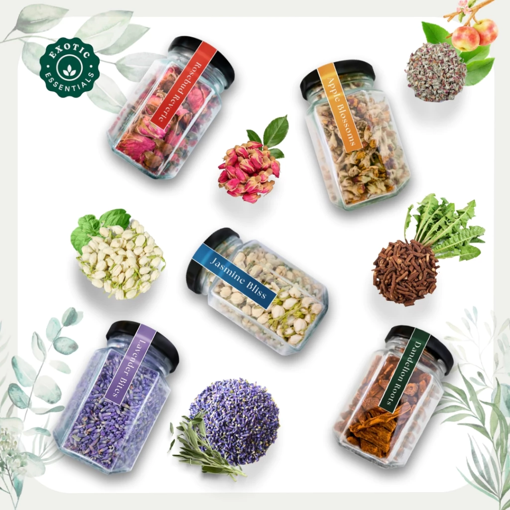 Exotic Essentials รากแดนดิไลออนอบแห้ง (Dandelion Root) ขนมลับฟันธรรมชาติ สำหรับกระต่าย ชินชิลล่า แกสบี้ สัตว์ฟันแทะ บรรจุขวดแก้ว ภาพที่ 3