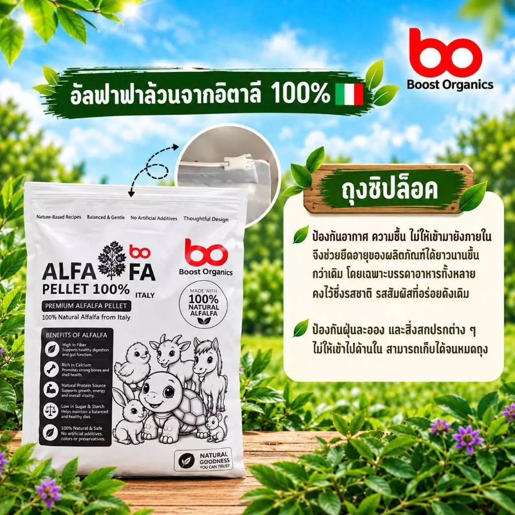 เกรดพรีเมี่ยม]อัลฟาฟ่าอัดเม็ด100% จากอิตาลี่ เหมาะกับเต่าบกและสัตว์กินพืช สัตว์ฟันแทะ Alfalfa Pellet ภาพที่ 2