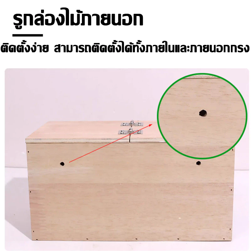 รังเพาะนก รังไข่นก กล่องเพาะนก บ้านนก รังเพาะนกเเก้ว ฟินซ์ เลิฟเบิร์ด กรีนชีค ฟอพัส หงส์หยก ภาพที่ 3