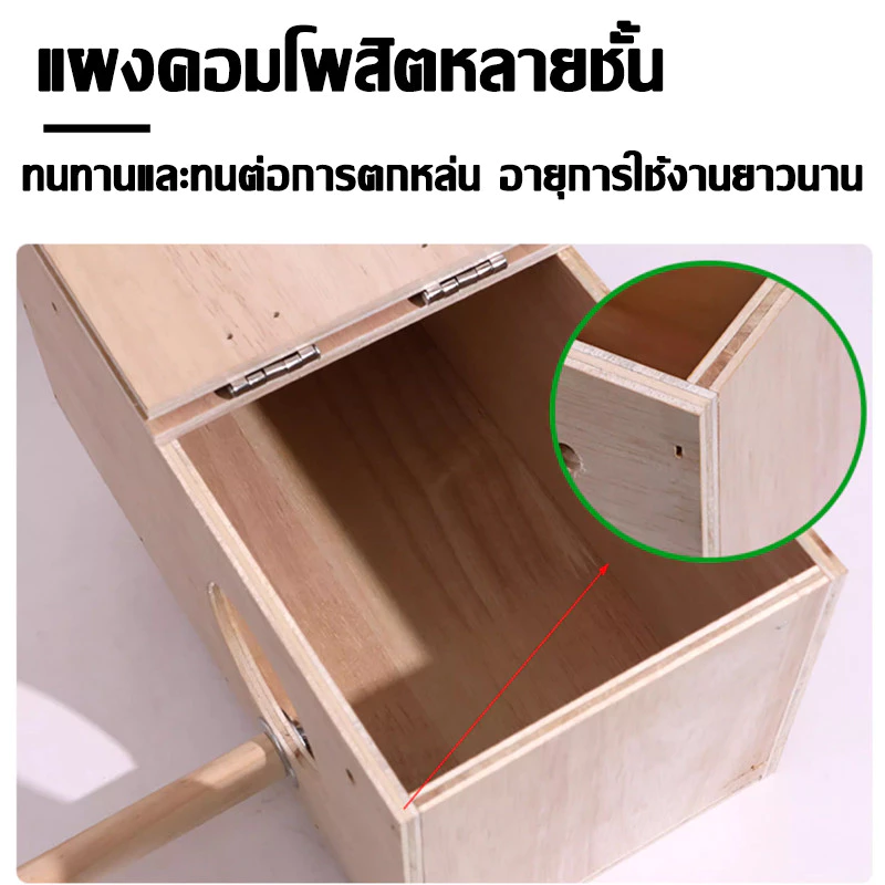 รังเพาะนก รังไข่นก กล่องเพาะนก บ้านนก รังเพาะนกเเก้ว ฟินซ์ เลิฟเบิร์ด กรีนชีค ฟอพัส หงส์หยก ภาพที่ 5