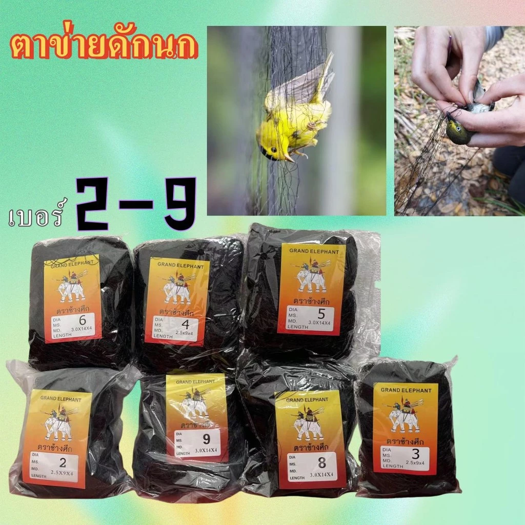 ตาข่ายดักนก ด่างดักนก ดักนก ข่ายดักนก ตาข่ายจับนก อวนดักนกดางดักนก ดางเรด้าร์ ตาข่ายดักค้างคาว ภาพที่ 3
