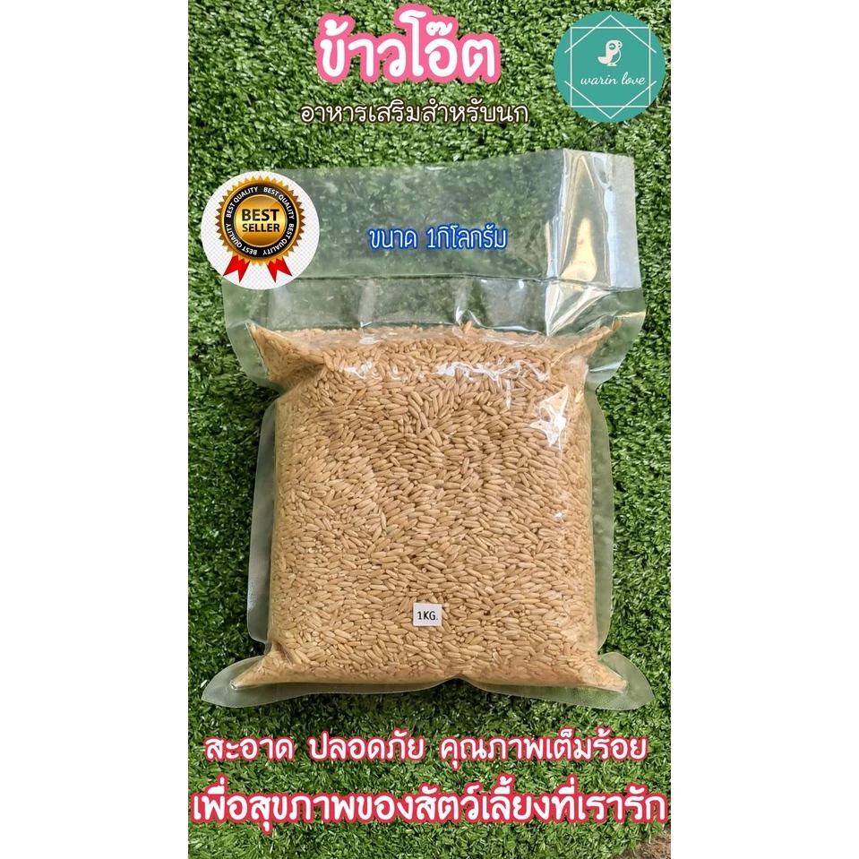 ข้าวโอ๊ต ข้าวโอ๊ตนก ข้าวโอ๊ตสำหรับนก ขาวสะอาด อาหารสำหรับนก อาหารเสริมสำหรับนก ภาพที่ 2