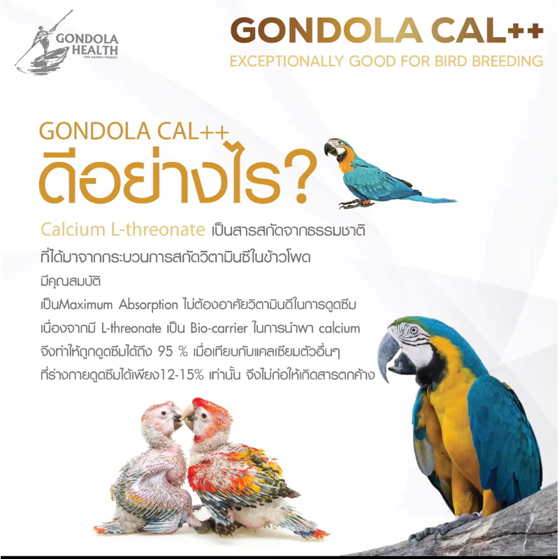 ap Gondola Cal++ กอนโดล่า 300g./120g./25g. แคลเซียมนกแก้ว แคลเซียมนกปากขอ อาหารเสริมนก อาหารเสริมบำรุงนก เพิ่มแคลเซียม ภาพที่ 4