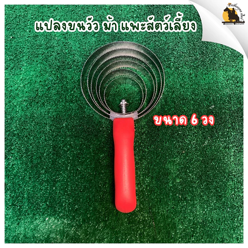แปรงเกาวัว เกาม้า เกาแพะ เกาสัตว์เลี้ยง ขนาด 6 วง สแตนเลส ไม่เป็นสนิม [ส่งจากไทย] ภาพที่ 2
