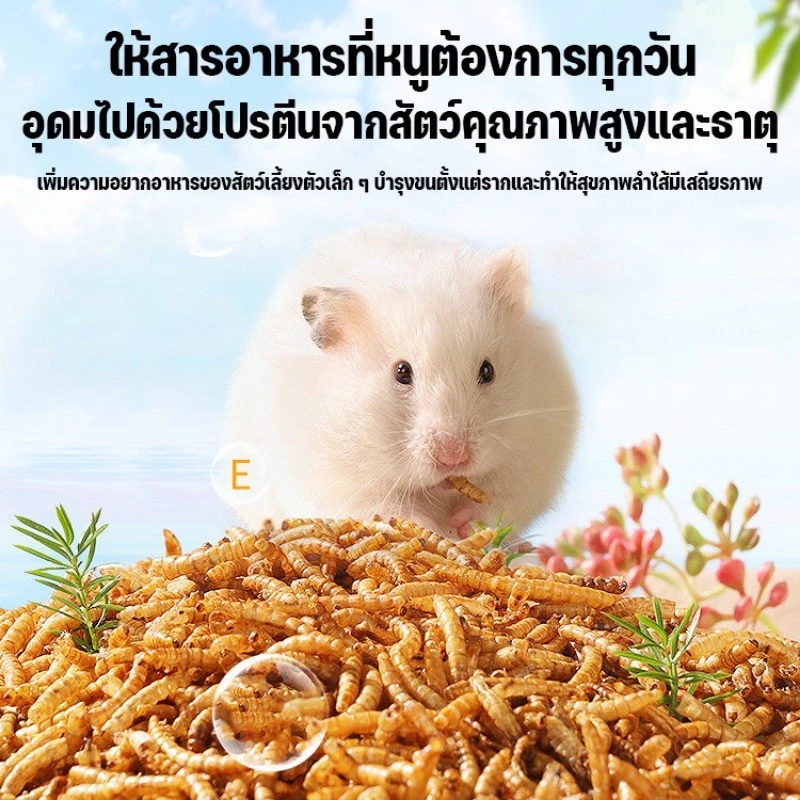 1500ML อาหารหนูแฮมเตอร์ หนอนอบแห้ง (Pet)หนูแฮมเตอร์,เม่นแคระ,นก,ปลา หนอนอาหาร หนอนอาหารแห้ง หนอนนก ภาพที่ 2
