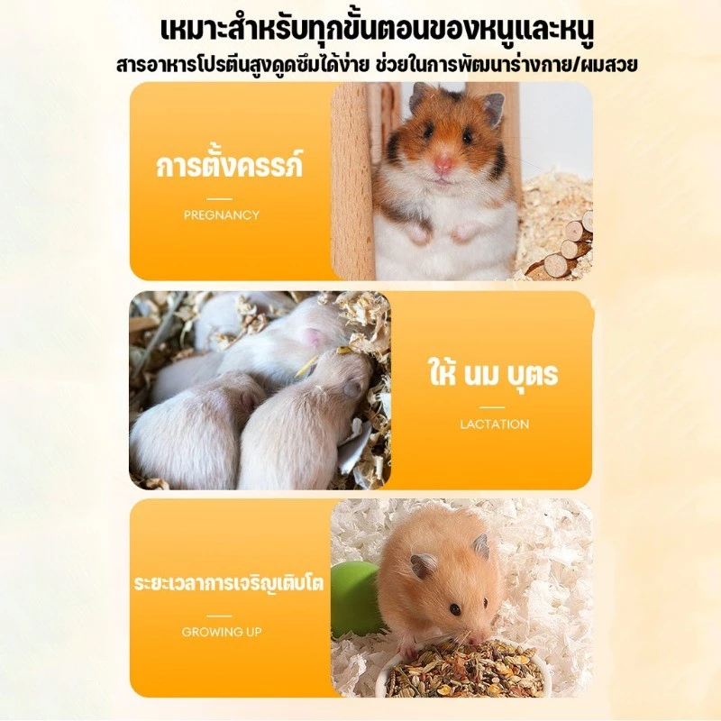 1500ML อาหารหนูแฮมเตอร์ หนอนอบแห้ง (Pet)หนูแฮมเตอร์,เม่นแคระ,นก,ปลา หนอนอาหาร หนอนอาหารแห้ง หนอนนก ภาพที่ 3