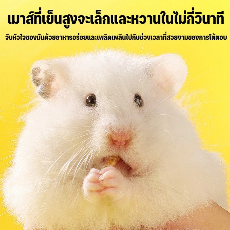 1500ML อาหารหนูแฮมเตอร์ หนอนอบแห้ง (Pet)หนูแฮมเตอร์,เม่นแคระ,นก,ปลา หนอนอาหาร หนอนอาหารแห้ง หนอนนก ภาพที่ 5