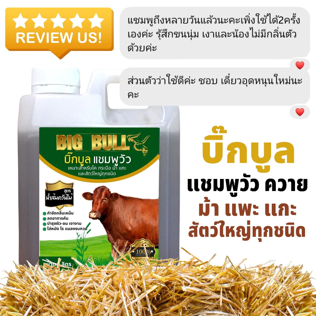 BIG BULL แชมพูวัว ควาย ม้า แพะ แกะ 1 แกลลอน ส่งฟรีทั่วไทย !! ภาพที่ 5