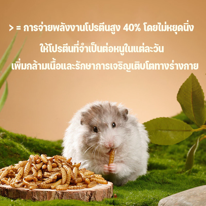1500ml อาหารหนูแฮมเตอร์ หนอนอาหาร หนอนอบแห้ง สัตว์เลี้ยงแมลงแห้ง หนอนนก หนอนแว๊กรำข้าวสาลีอบแห้ง ภาพที่ 5