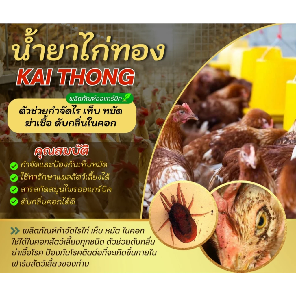 น้ำยากำจัดไรไก่ สเปรย์ไล่ไรไก่ สเปรย์ป้องกันไรไก่ ป้องกันไรไก่ กำจัดไรไก่ ไรไก่ ไก่ชน ไล่แมลง ไล่ยุง ไก่ชน ภาพที่ 3