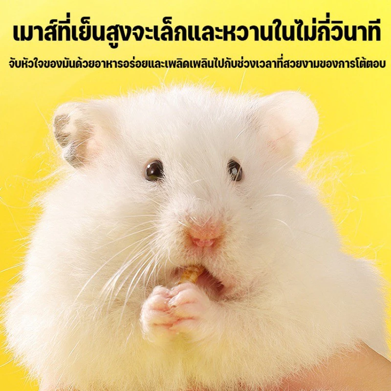 หนอนอาหาร หนอนอบแห้ง หนอนอาหารแห้ง อาหารหนูแฮมเตอร์ สัตว์เลี้ยงแมลงแห้ง หนอนนก 1500ml ภาพที่ 5