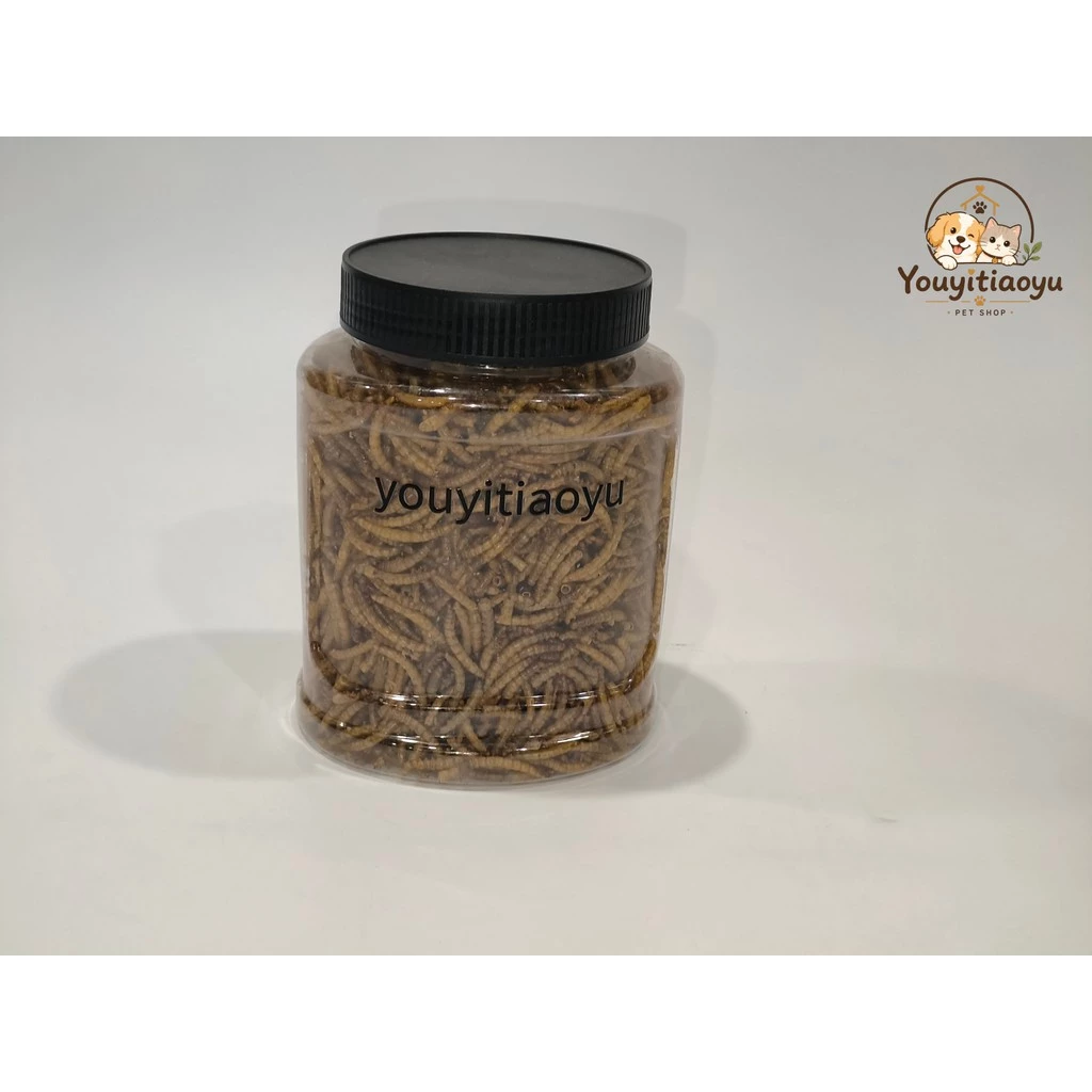 Youyitiaoyu หนอนอาหาร 1500ml อาหารหนูแฮมเตอร์ หนอนนก หนอนอาหารแห้ง หนอนแว๊กรำข้าวสาลีอบแห้ง ภาพที่ 4