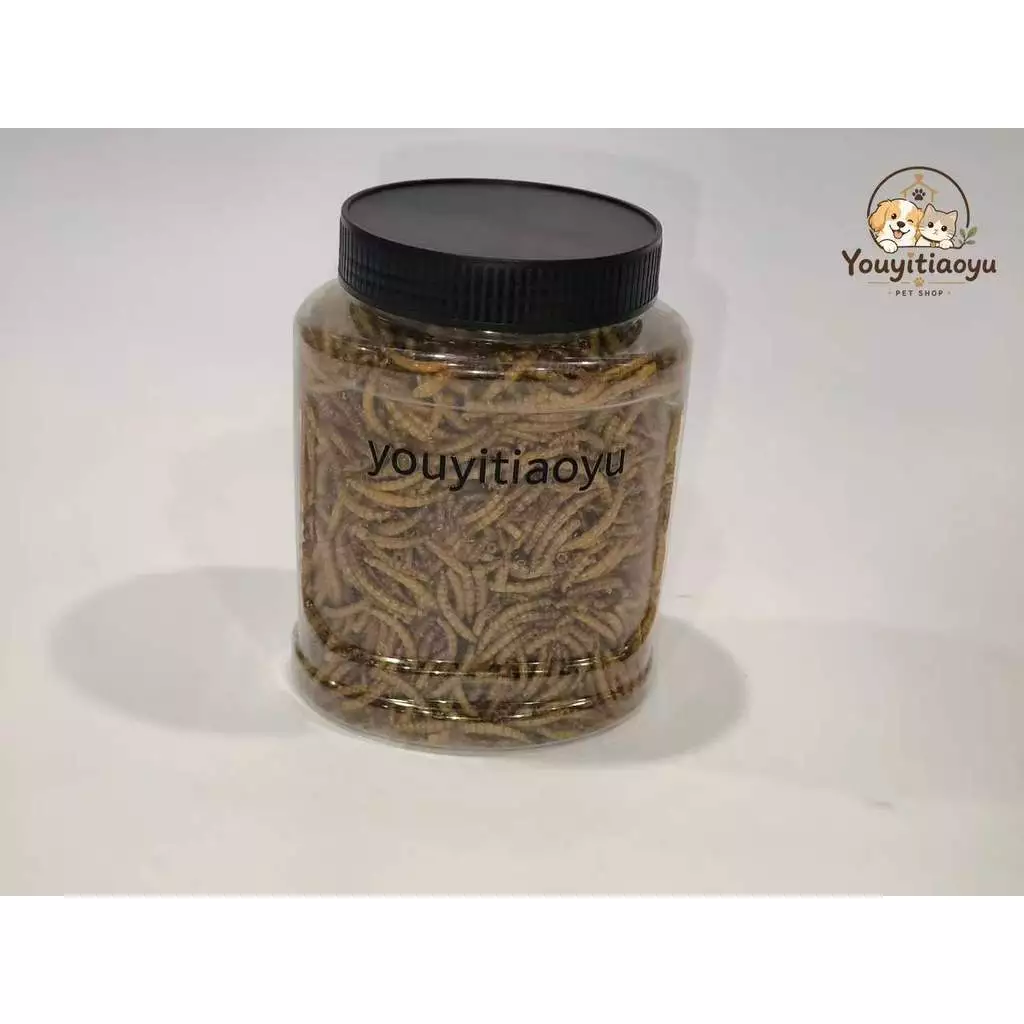 Youyitiaoyu หนอนอาหาร 1500ml อาหารหนูแฮมเตอร์ หนอนนก หนอนอาหารแห้ง หนอนแว๊กรำข้าวสาลีอบแห้ง ภาพที่ 5